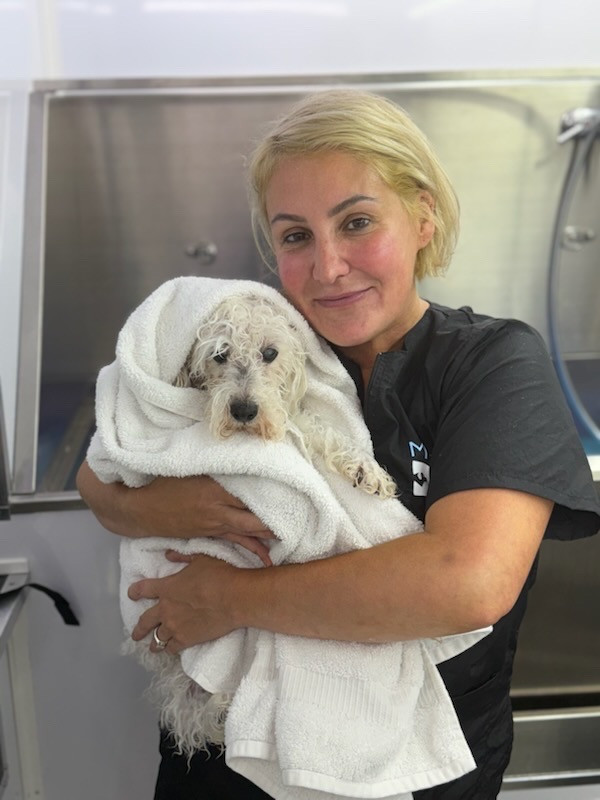 MobileDog grooming gallery